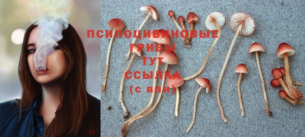 первитин Волоколамск