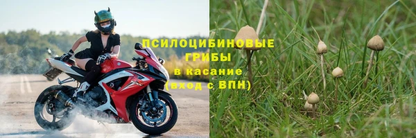 a pvp Володарск
