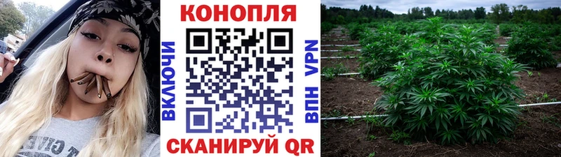 хочу   Всеволожск  KRAKEN ONION  Каннабис план 